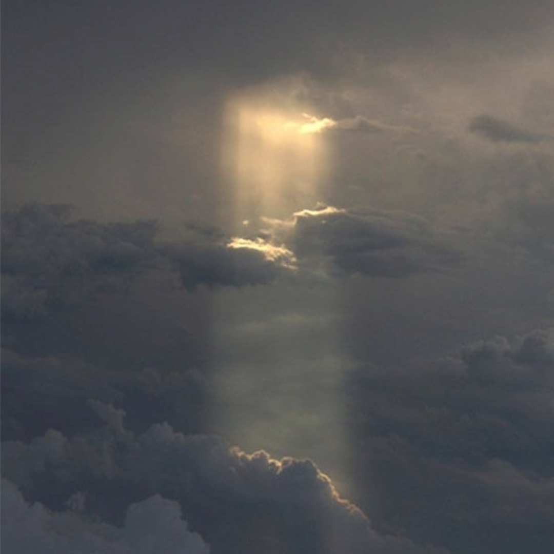 open workshop: february 19 2022