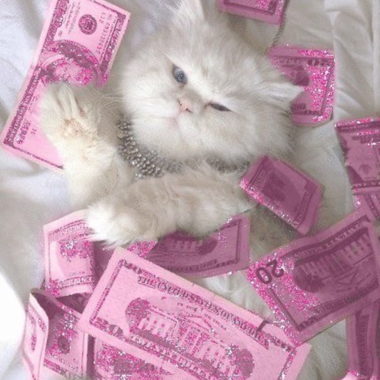 the october course: money loves me